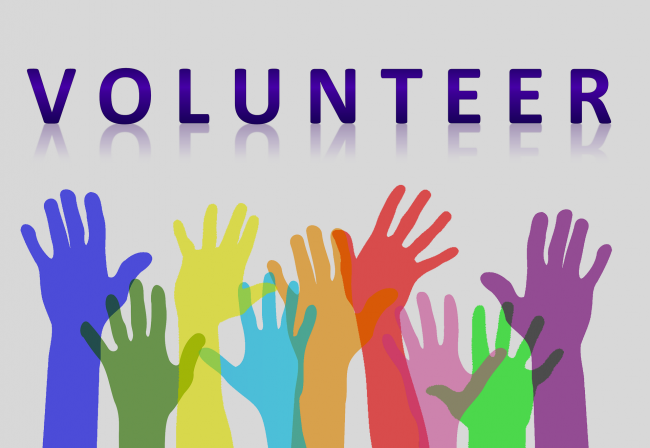 Volunteer activities for high school students