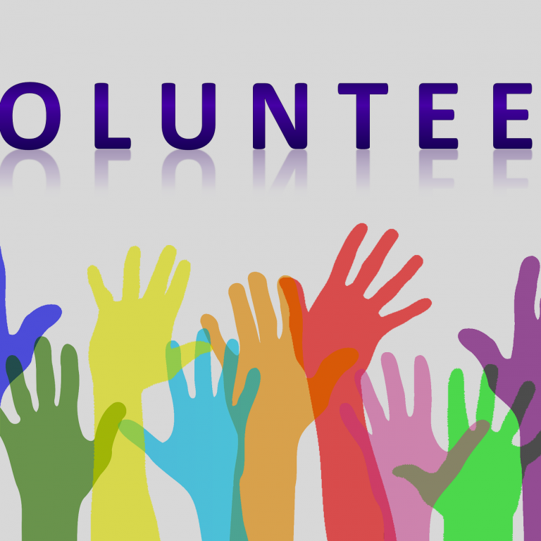 Volunteer activities for high school students