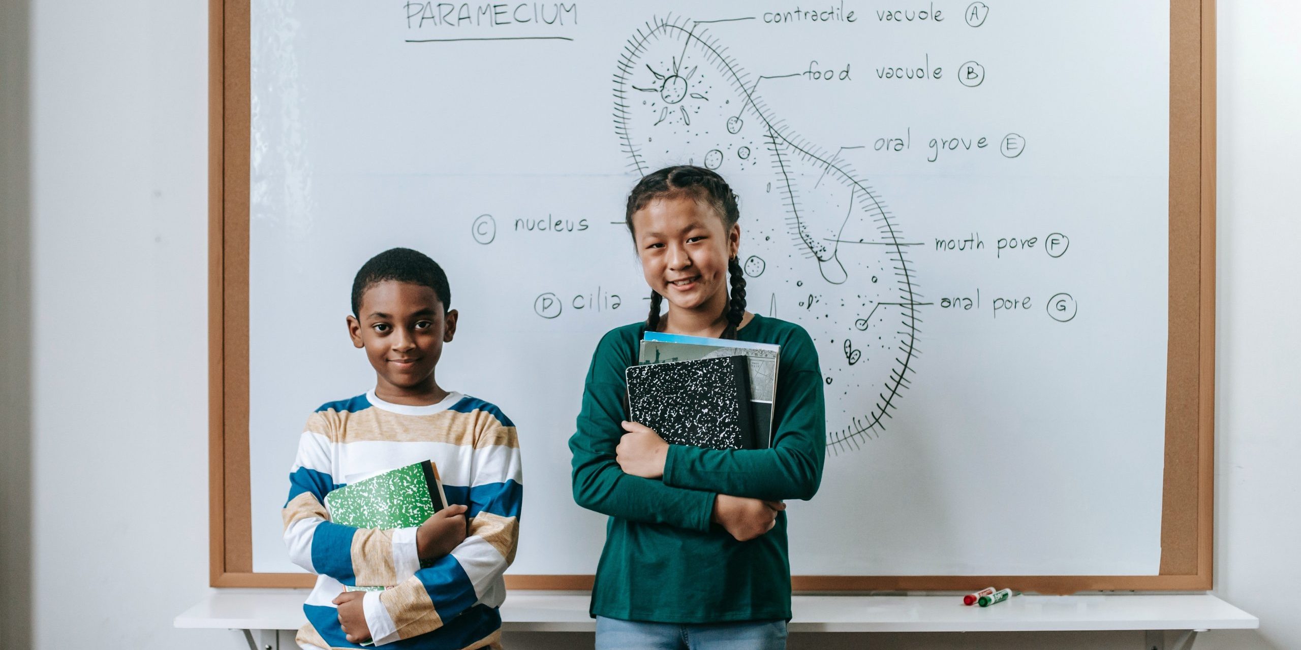 AP tests vs AP courses